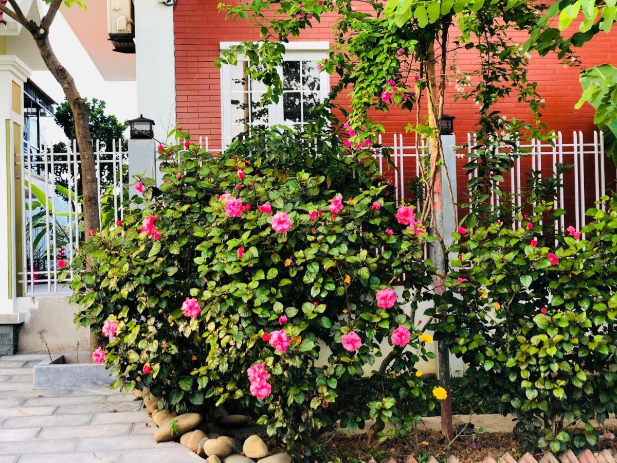 Ninh Binh Brother'S Homestay Buitenkant foto