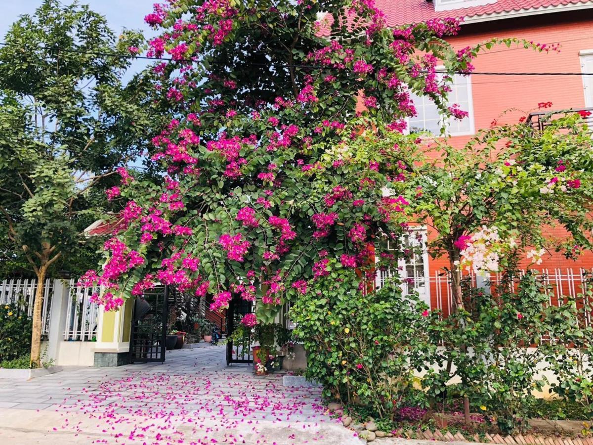 Ninh Binh Brother'S Homestay Buitenkant foto