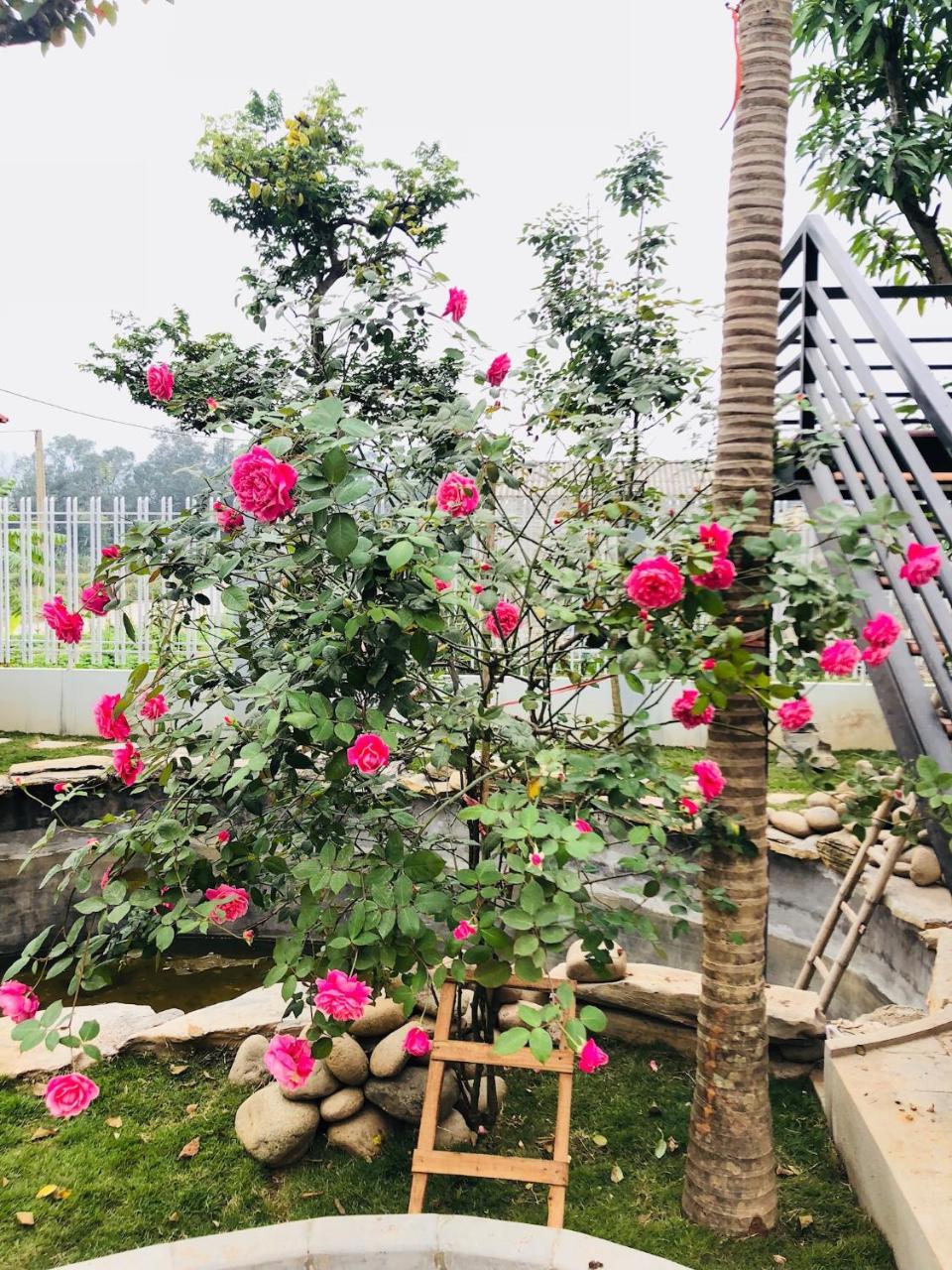 Ninh Binh Brother'S Homestay Buitenkant foto