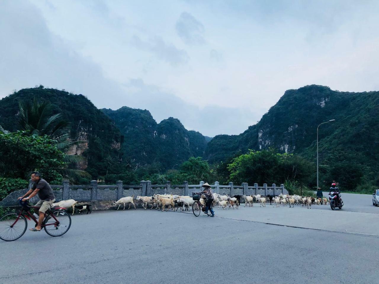 Ninh Binh Brother'S Homestay Buitenkant foto